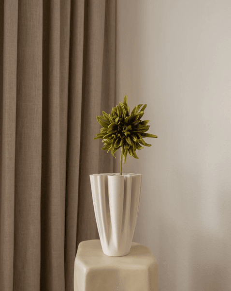 Hovedbilde Cactus Dahlia Flower