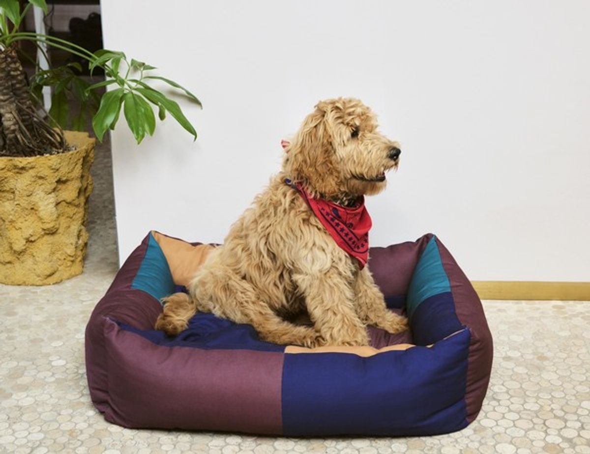 HAY Dogs Bed - Large