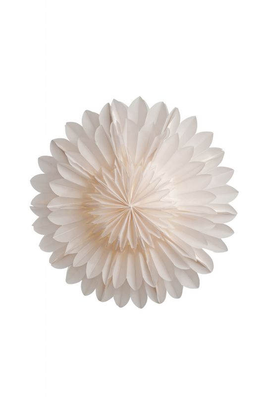 Lotus 44 white 