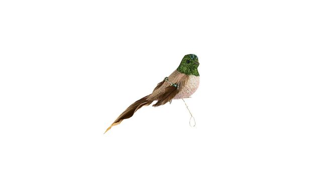Hovedbilde Fugl 13cm Grønn/Natur med klype