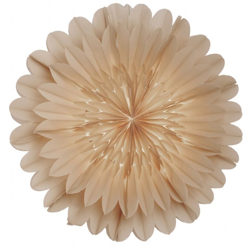 Lotus 60 beige