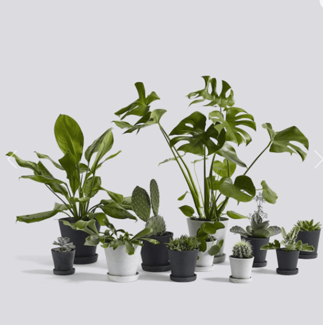 Hovedbilde Flowerpot X-Large 