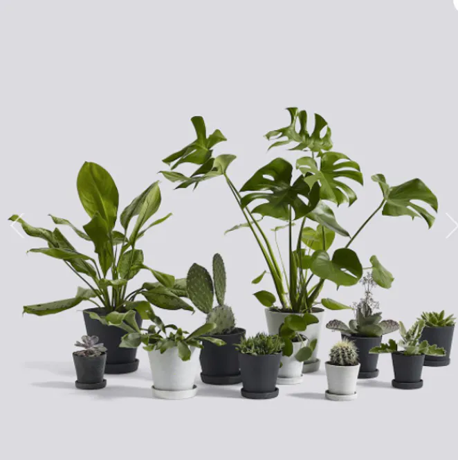 Hovedbilde Flowerpot X-Large 