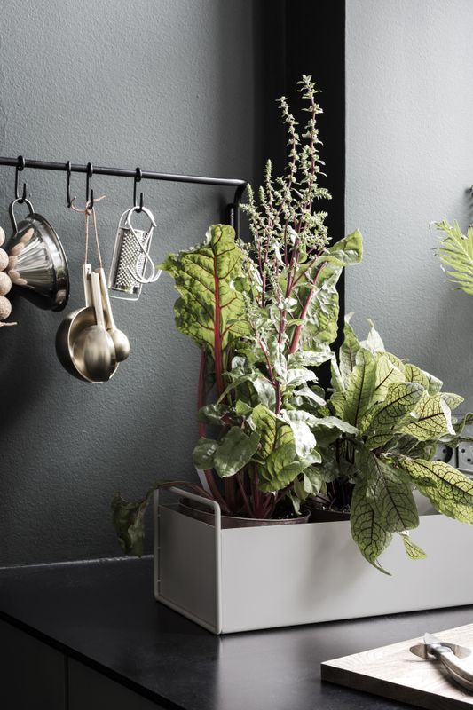 Plant Box - Black - Small