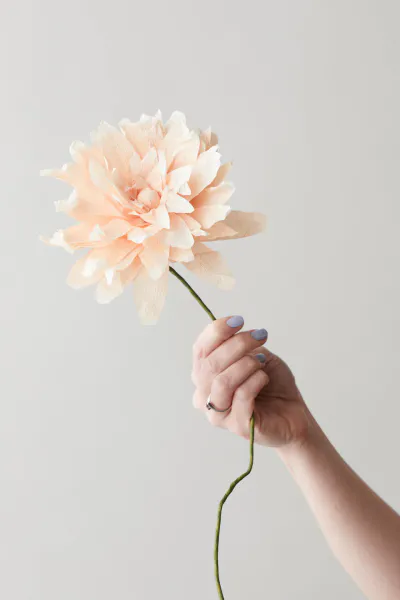 Bilde av Papirblomst - Grand Dahlia, Nude