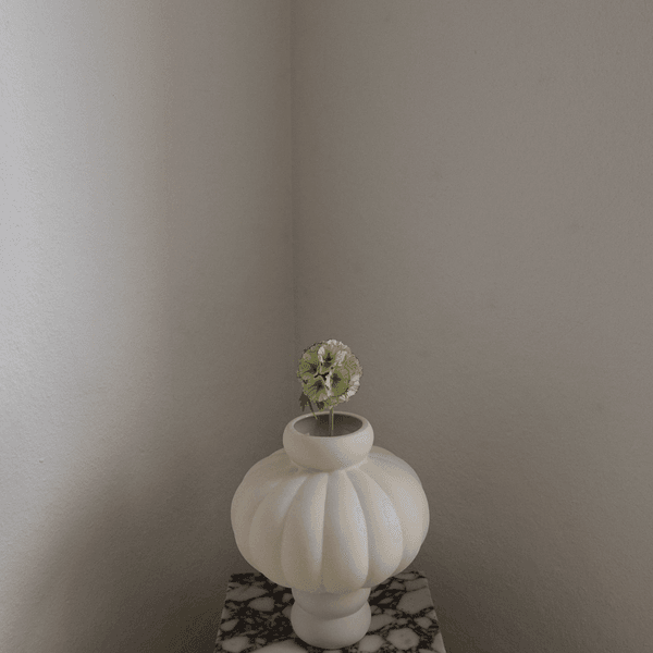 Hovedbilde Scabiosa Seed Pod Flower
