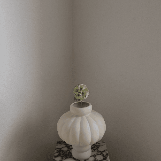 Hovedbilde Scabiosa Seed Pod Flower