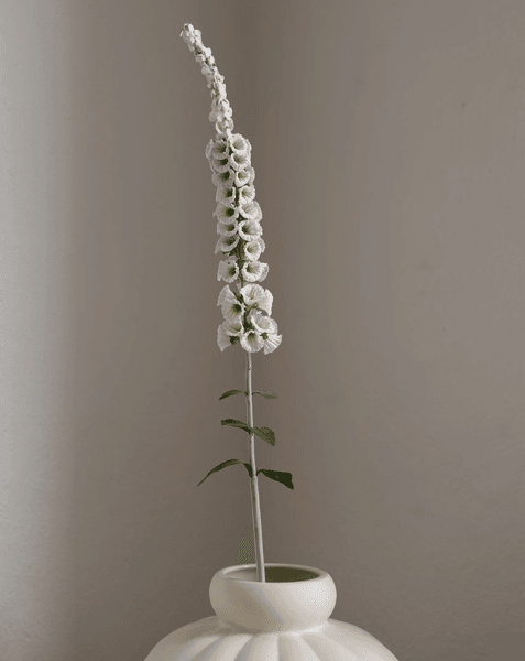 Hovedbilde Foxtail Flower