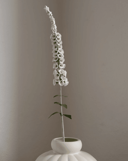 Hovedbilde Foxtail Flower