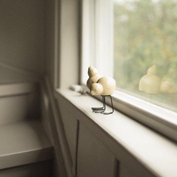 Hovedbilde Swedish Birds