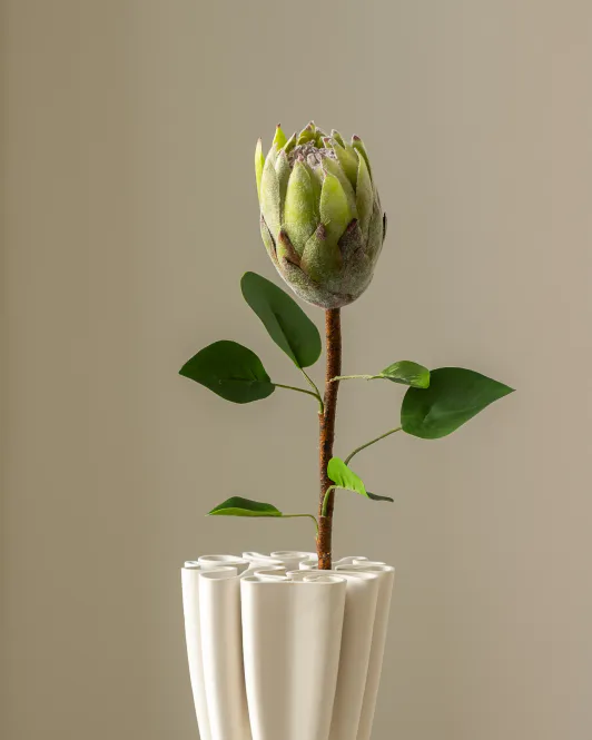 Hovedbilde King Protea Green