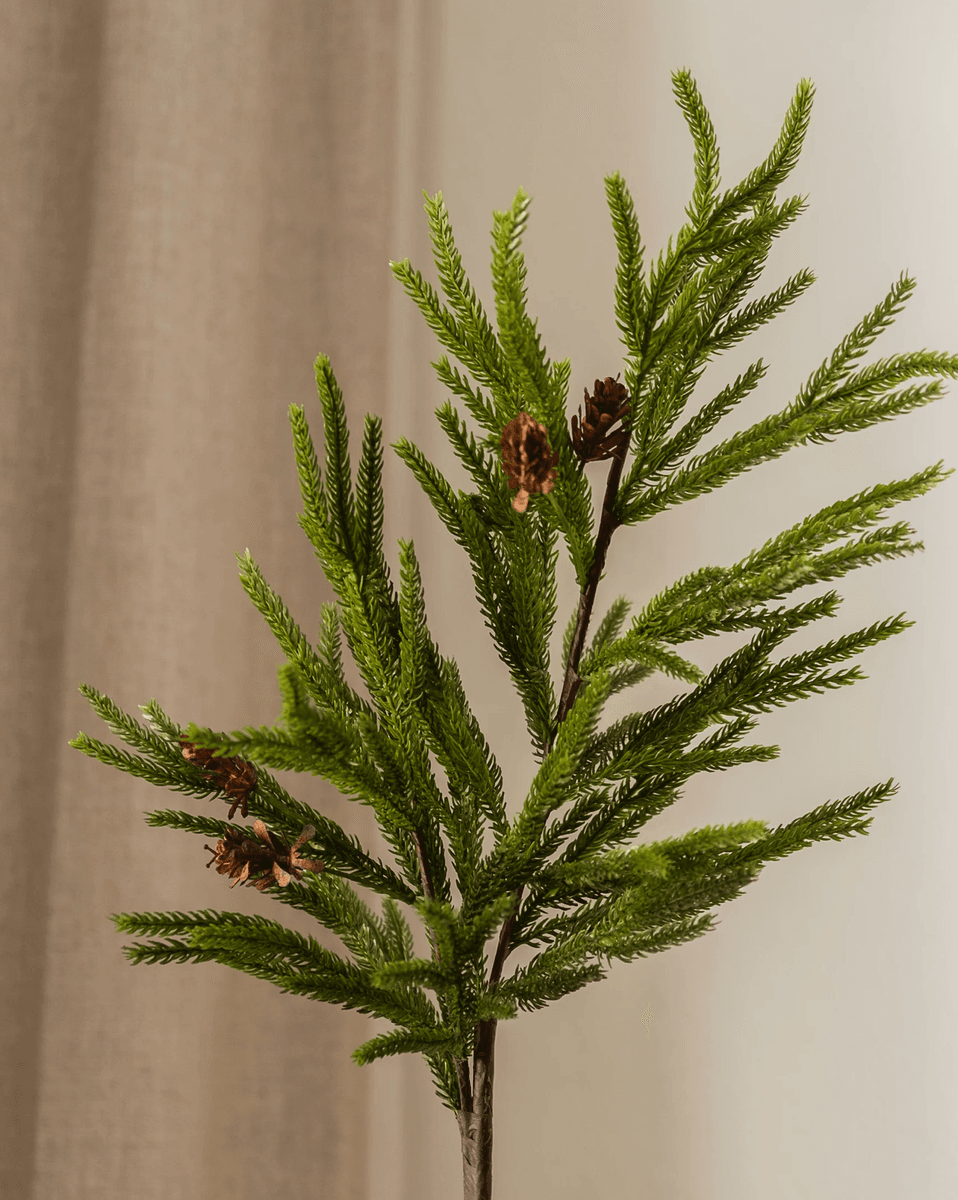 Pine Needle Tree Branch