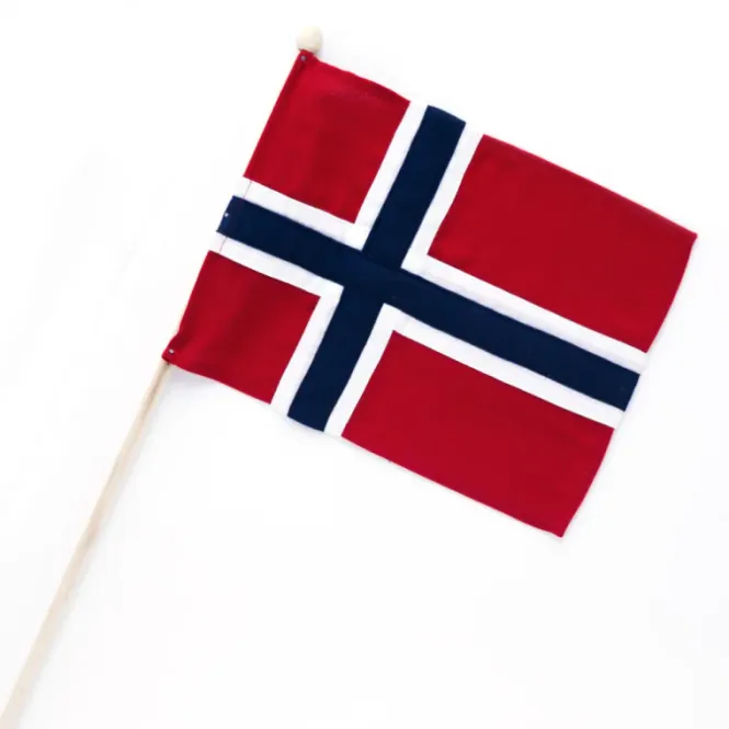 Hovedbilde Norsk Flagg på Trepinne