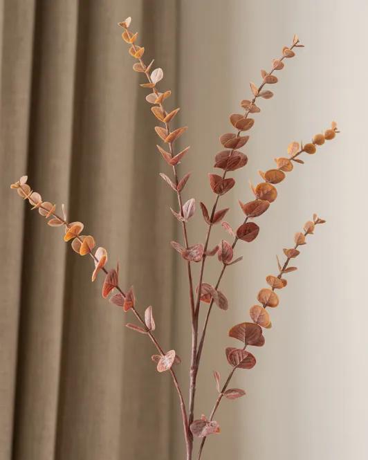 Hovedbilde Eucalyptus Leaf Branch