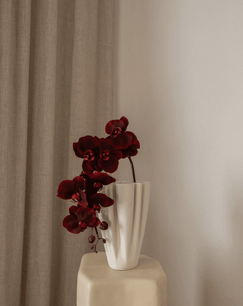 Hovedbilde Orchid Flower