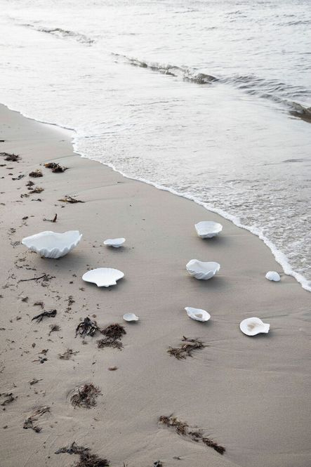 Hovedbilde Skål Shell L