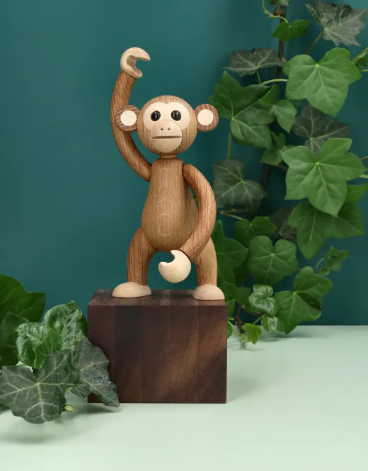 Hovedbilde Mojo
