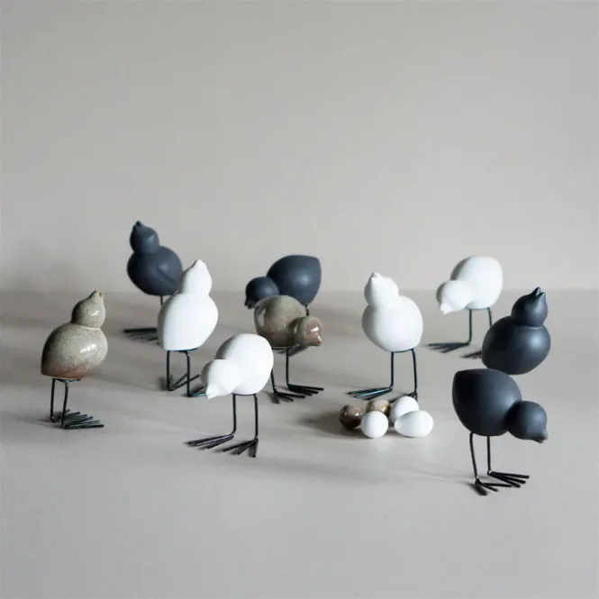 Hovedbilde Swedish Birds