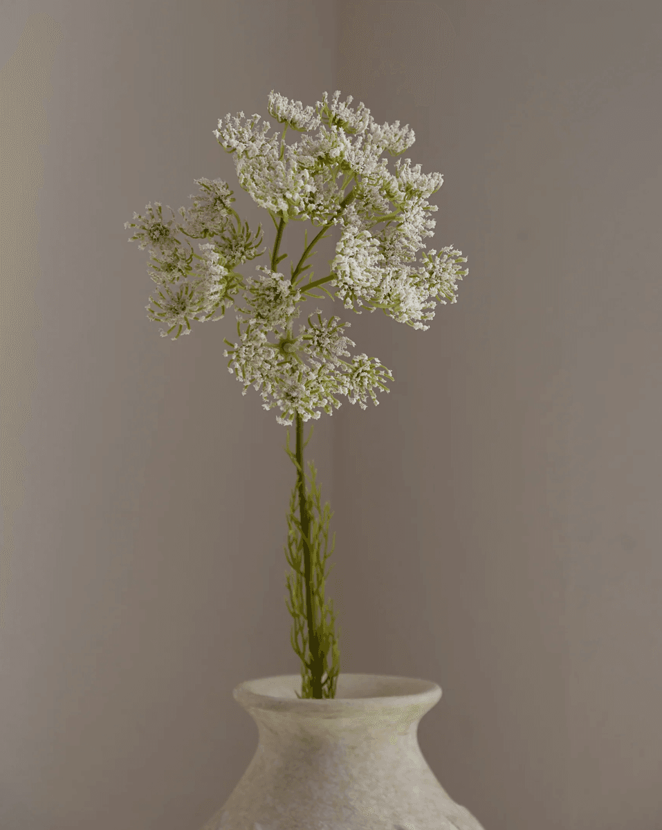 Queen Anne's Lace Flower