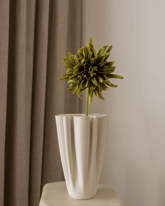 Cactus Dahlia Flower
