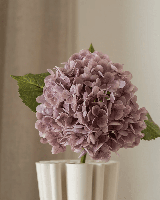 Hydrangea Flower