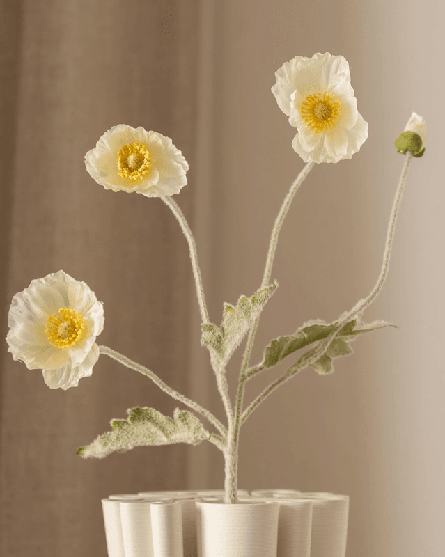Poppy Flower