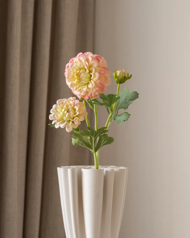Dahlia