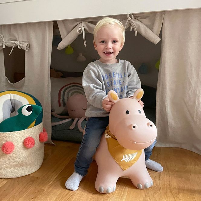 Hovedbilde Kindsgut Hoppedyr